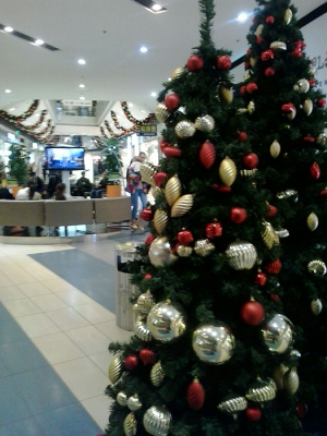 Shopping-Natale-2